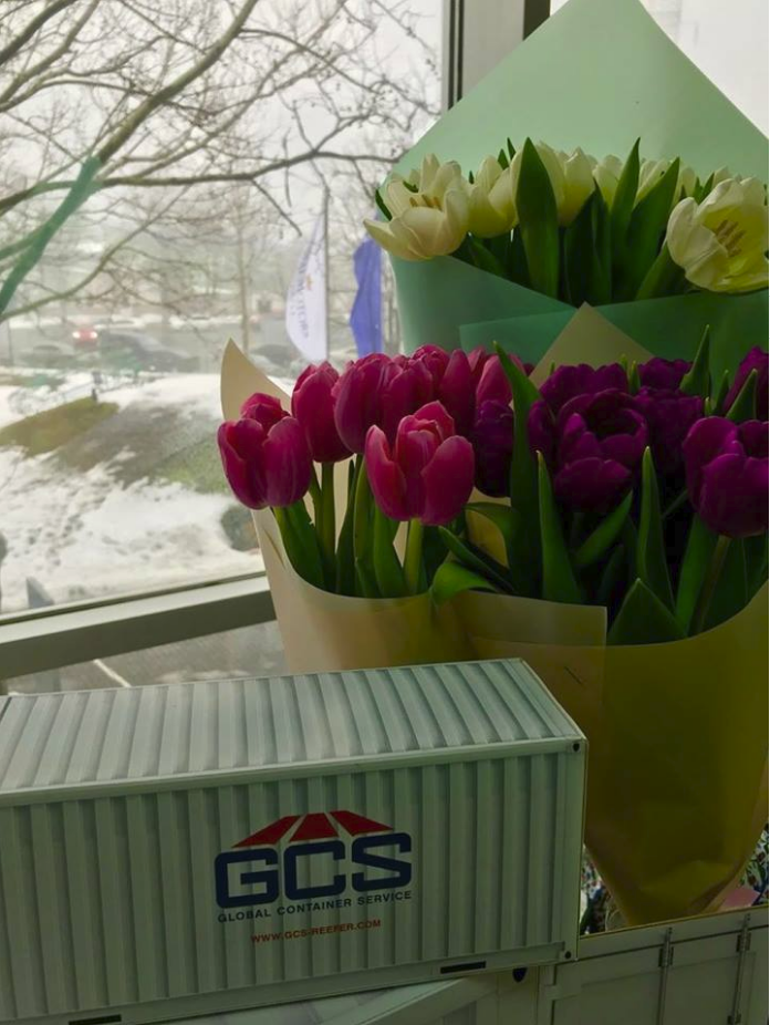 GCS felicita a todas las mujeres el 8 de marzo!